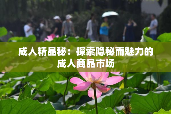 成人精品秘：探索隐秘而魅力的成人商品市场