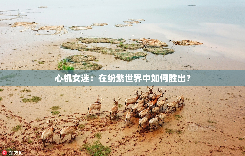 心机女迷：在纷繁世界中如何胜出？