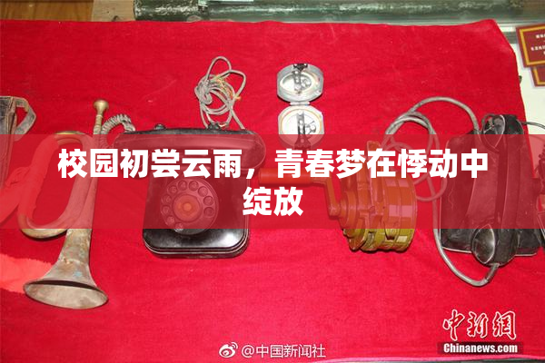 校园初尝云雨，青春梦在悸动中绽放