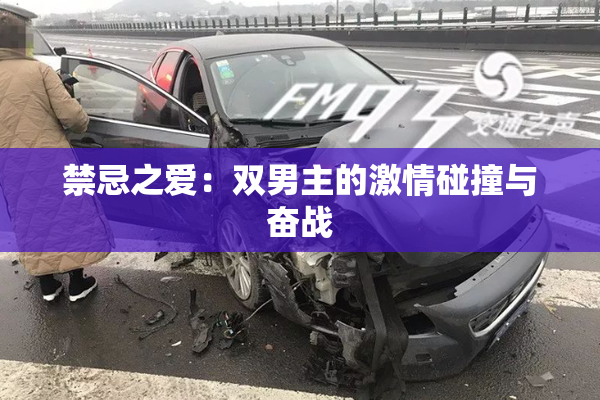 禁忌之爱：双男主的激情碰撞与奋战