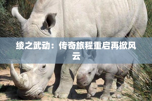 绫之武动：传奇旅程重启再掀风云