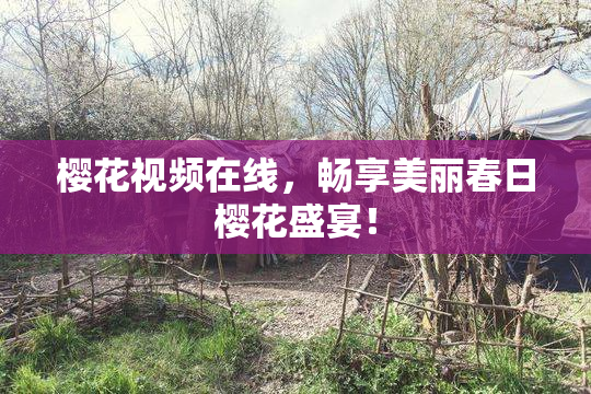 樱花视频在线，畅享美丽春日樱花盛宴！