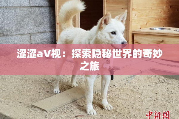 涩涩aV视：探索隐秘世界的奇妙之旅