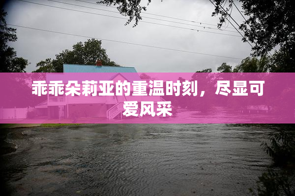 乖乖朵莉亚的重温时刻，尽显可爱风采