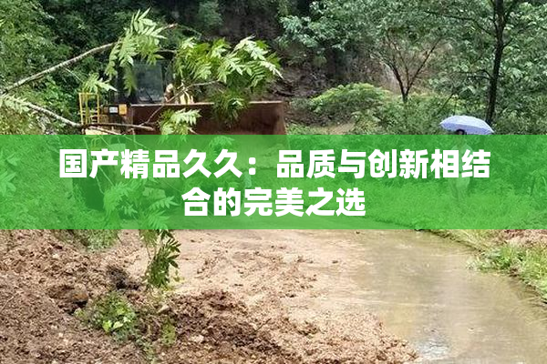 国产精品久久：品质与创新相结合的完美之选