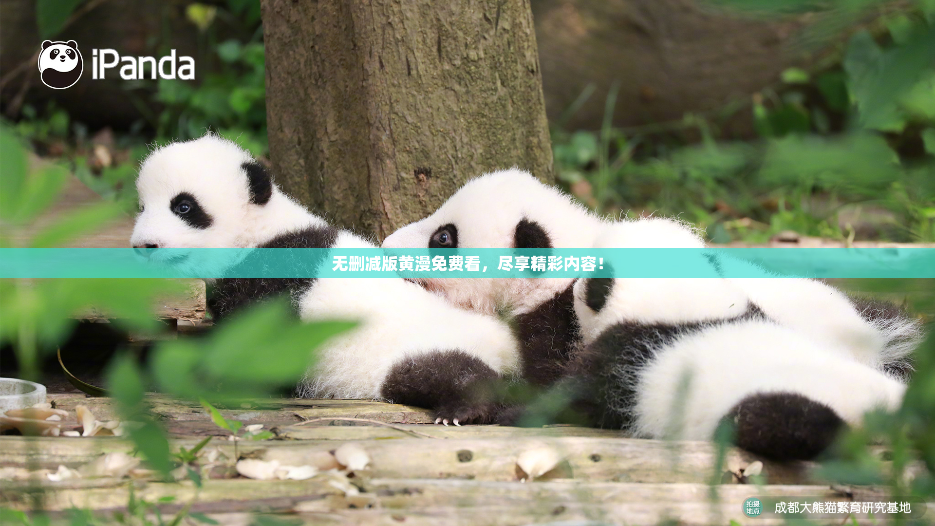 无删减版黄漫免费看，尽享精彩内容！