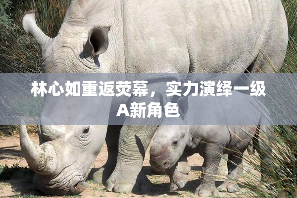 林心如重返荧幕，实力演绎一级A新角色