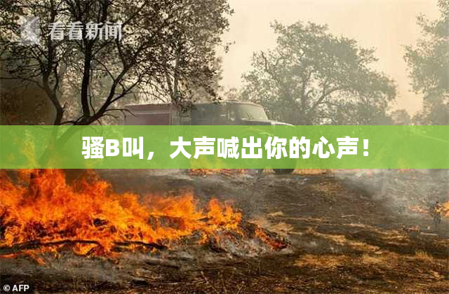 骚B叫，大声喊出你的心声！