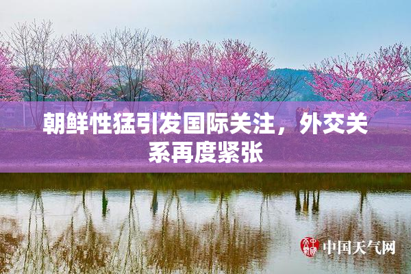 朝鲜性猛引发国际关注，外交关系再度紧张