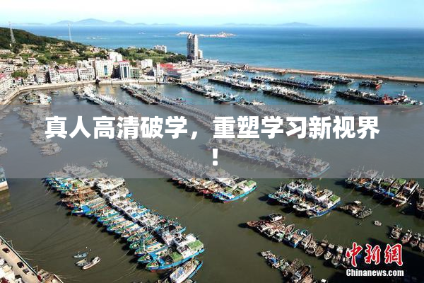 真人高清破学，重塑学习新视界！