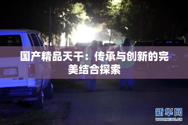 国产精品天干：传承与创新的完美结合探索
