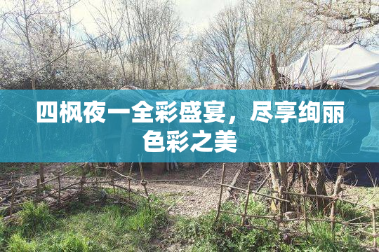 四枫夜一全彩盛宴，尽享绚丽色彩之美