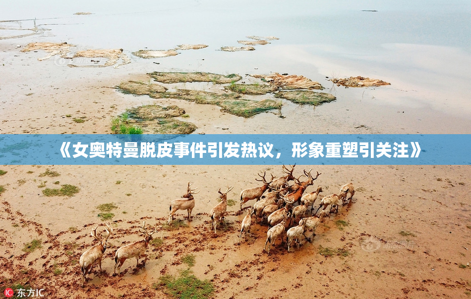 《女奥特曼脱皮事件引发热议，形象重塑引关注》