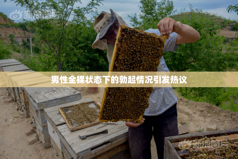 男性全裸状态下的勃起情况引发热议