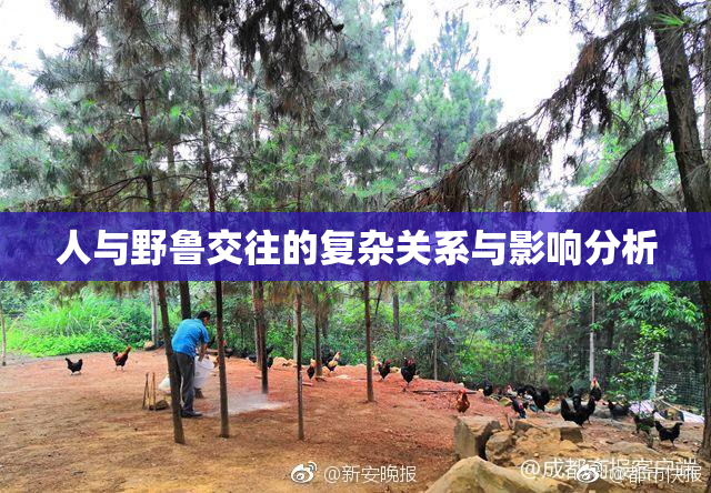人与野鲁交往的复杂关系与影响分析