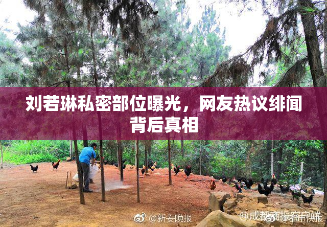 刘若琳私密部位曝光，网友热议绯闻背后真相