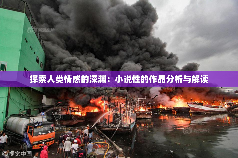 探索人类情感的深渊：小说性的作品分析与解读
