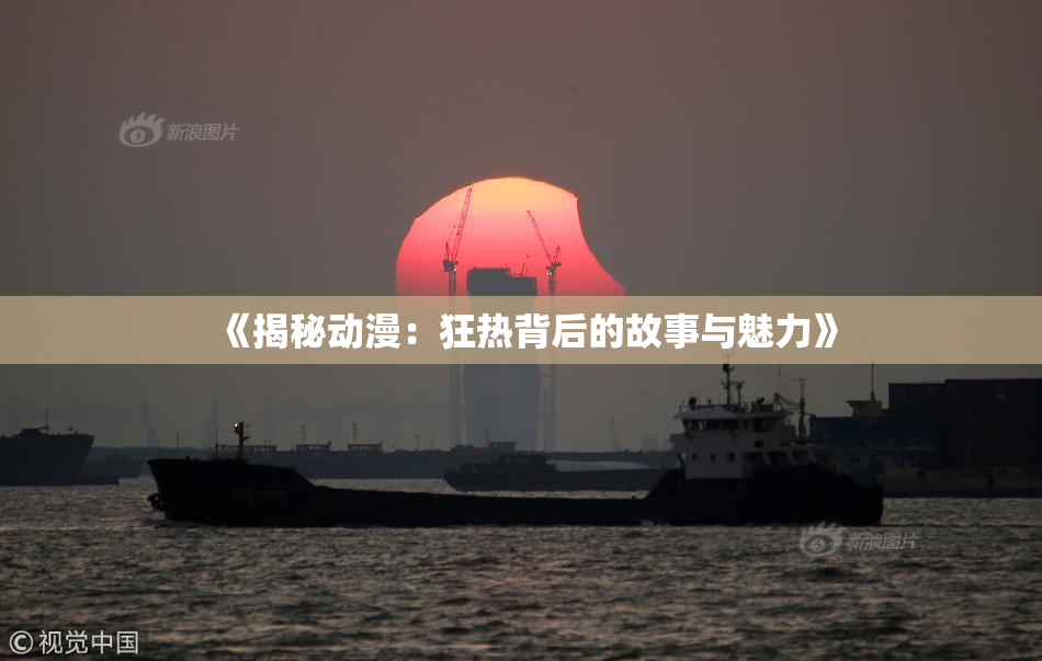 《揭秘动漫：狂热背后的故事与魅力》