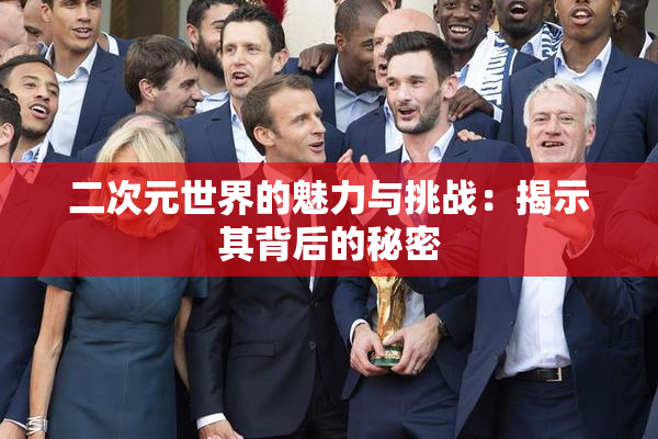二次元世界的魅力与挑战：揭示其背后的秘密