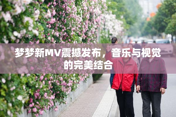 梦梦新MV震撼发布，音乐与视觉的完美结合
