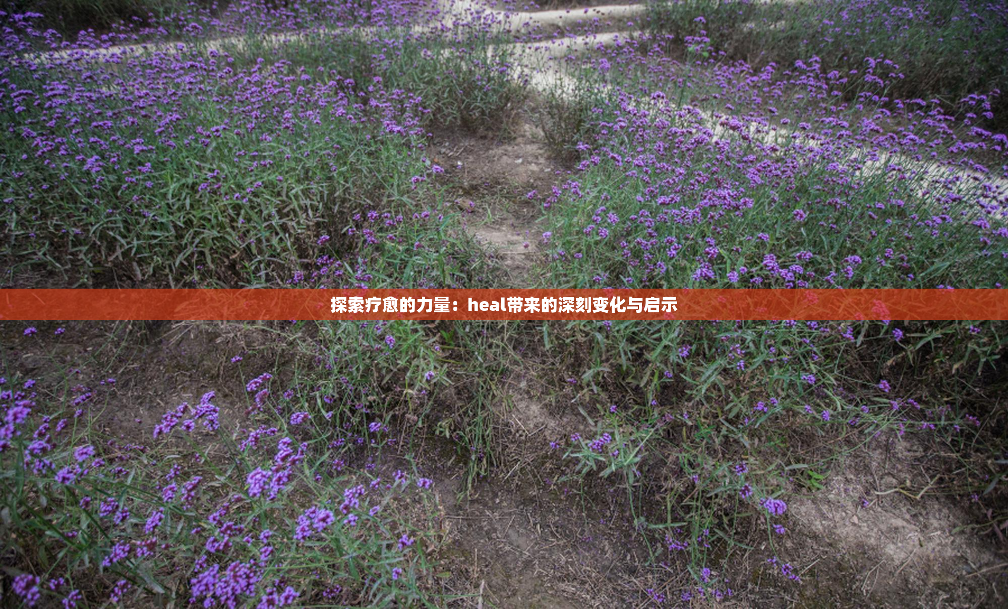 探索疗愈的力量：heal带来的深刻变化与启示