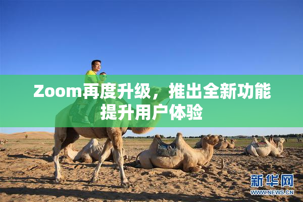 Zoom再度升级，推出全新功能提升用户体验