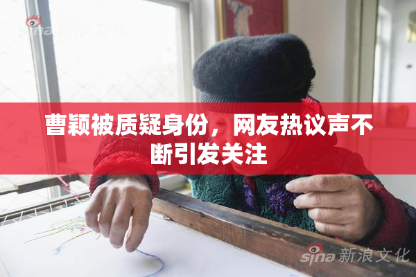 曹颖被质疑身份，网友热议声不断引发关注