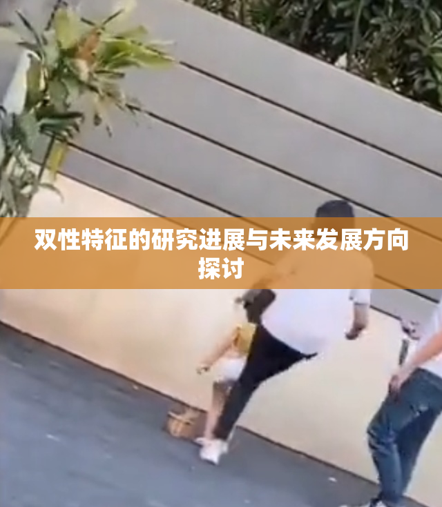 双性特征的研究进展与未来发展方向探讨