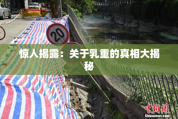 惊人揭露：关于乳重的真相大揭秘
