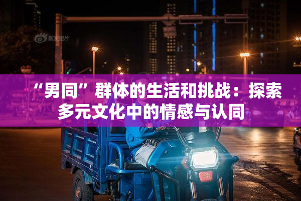 “男同”群体的生活和挑战：探索多元文化中的情感与认同