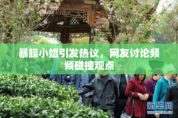 暴躁小姐引发热议，网友讨论频频碰撞观点
