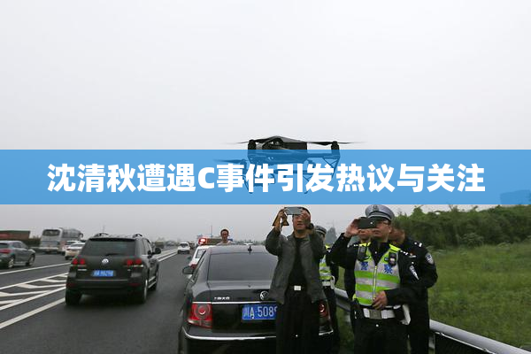 沈清秋遭遇C事件引发热议与关注