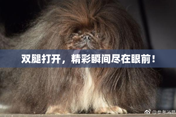双腿打开，精彩瞬间尽在眼前！