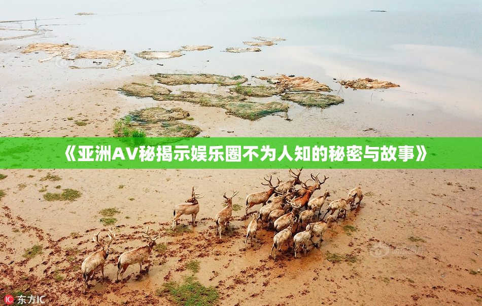 《亚洲AV秘揭示娱乐圈不为人知的秘密与故事》