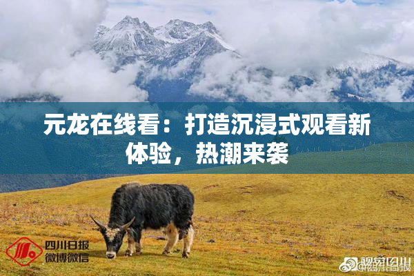 元龙在线看：打造沉浸式观看新体验，热潮来袭