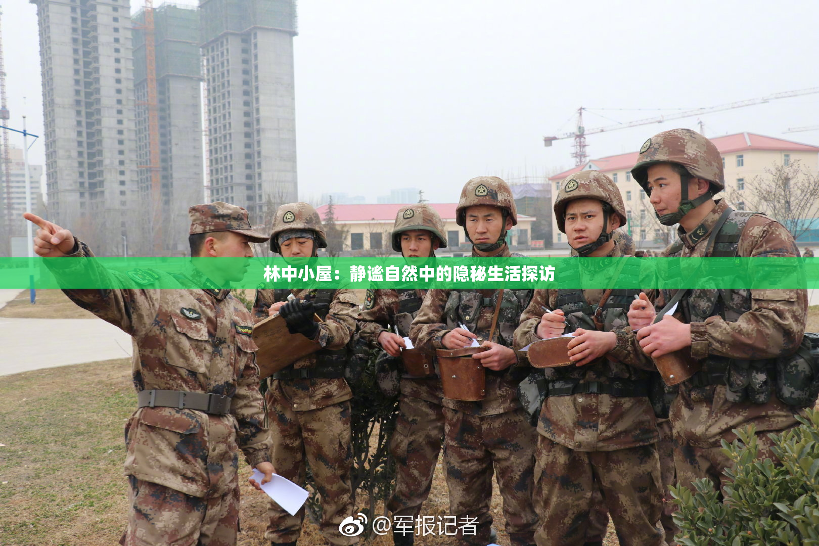 林中小屋：静谧自然中的隐秘生活探访