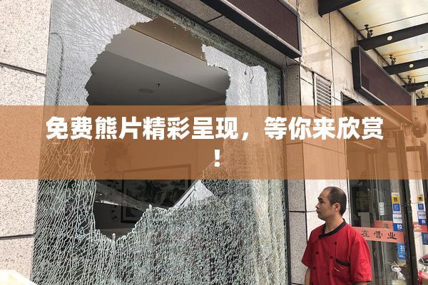免费熊片精彩呈现，等你来欣赏！
