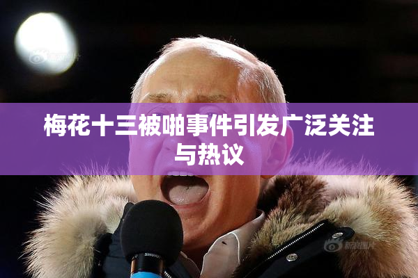 梅花十三被啪事件引发广泛关注与热议