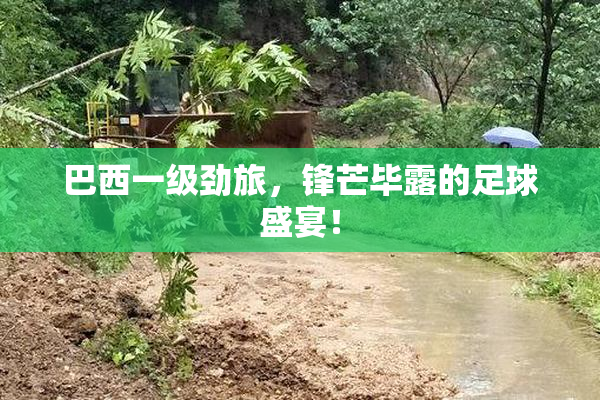 巴西一级劲旅，锋芒毕露的足球盛宴！