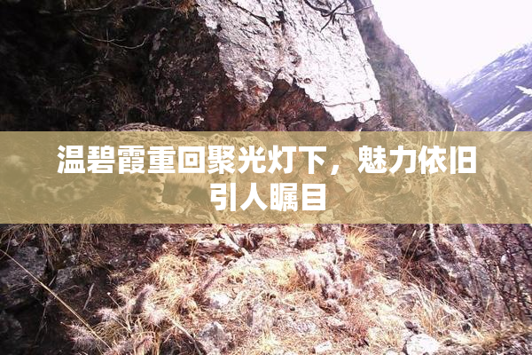 温碧霞重回聚光灯下，魅力依旧引人瞩目