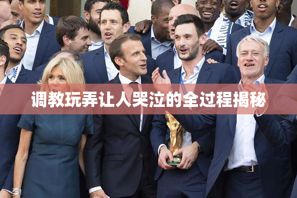 调教玩弄让人哭泣的全过程揭秘