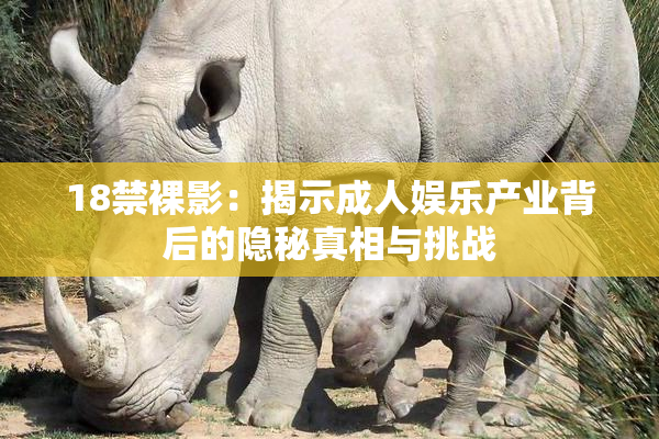 18禁裸影：揭示成人娱乐产业背后的隐秘真相与挑战