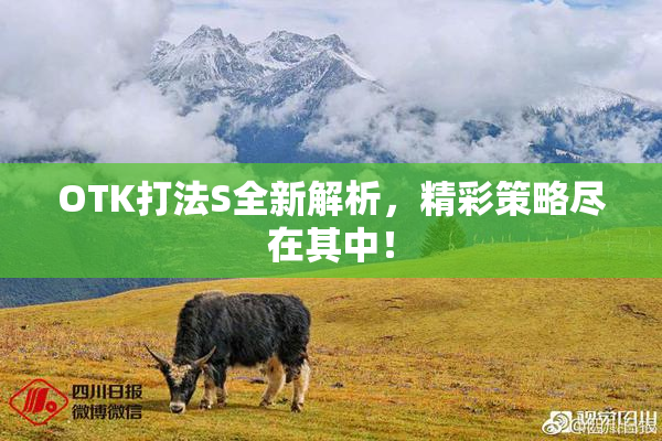 OTK打法S全新解析，精彩策略尽在其中！