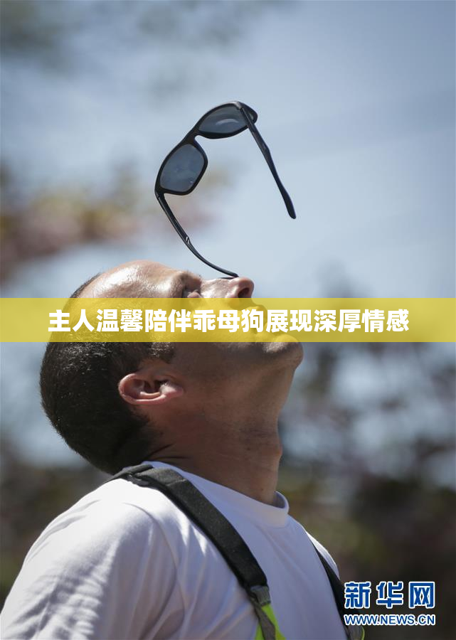 主人温馨陪伴乖母狗展现深厚情感