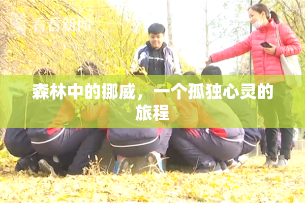森林中的挪威，一个孤独心灵的旅程
