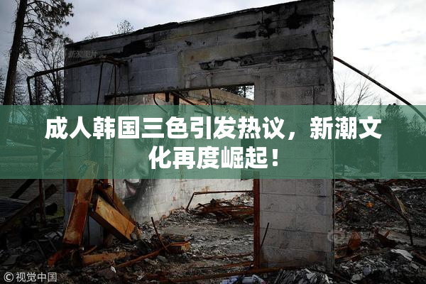 成人韩国三色引发热议，新潮文化再度崛起！