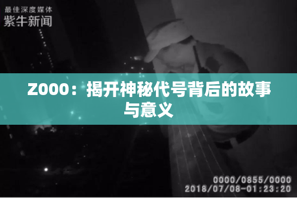 Z000：揭开神秘代号背后的故事与意义