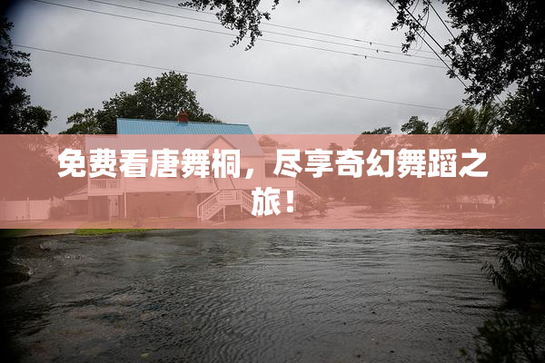 免费看唐舞桐，尽享奇幻舞蹈之旅！