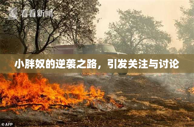 小胖奴的逆袭之路，引发关注与讨论