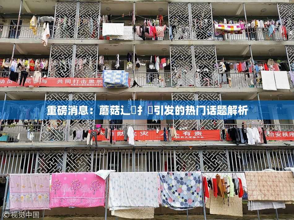 重磅消息：蘑菇辶喿扌畐引发的热门话题解析